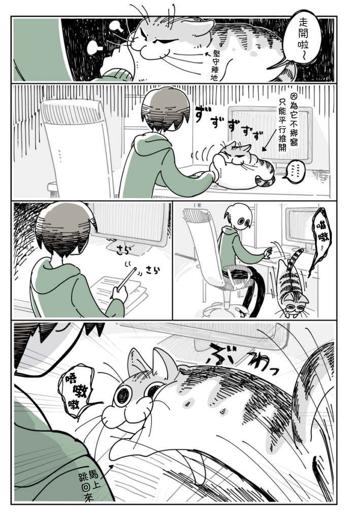 《关于养猫我一直是新手》漫画最新章节第10话免费下拉式在线观看章节第【2】张图片