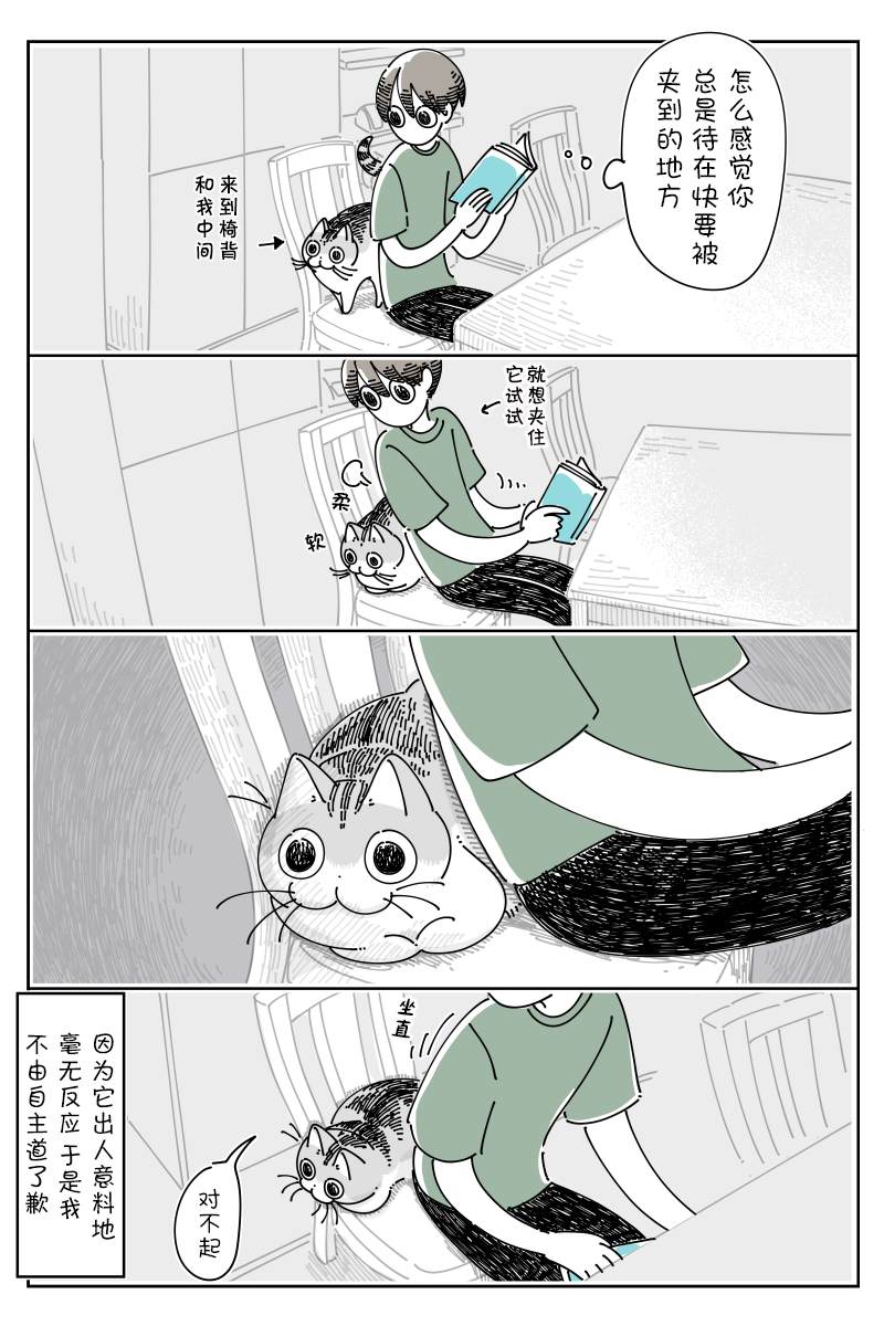 《关于养猫我一直是新手》漫画最新章节第123话免费下拉式在线观看章节第【3】张图片