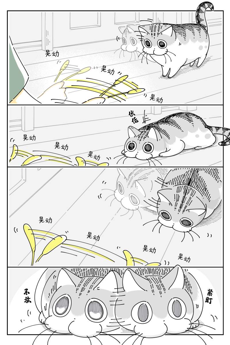 《关于养猫我一直是新手》漫画最新章节第77话免费下拉式在线观看章节第【1】张图片