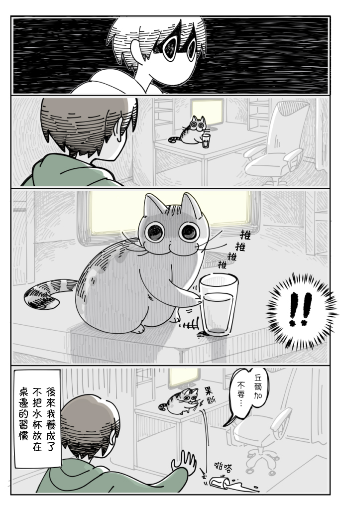 《关于养猫我一直是新手》漫画最新章节第12话免费下拉式在线观看章节第【4】张图片