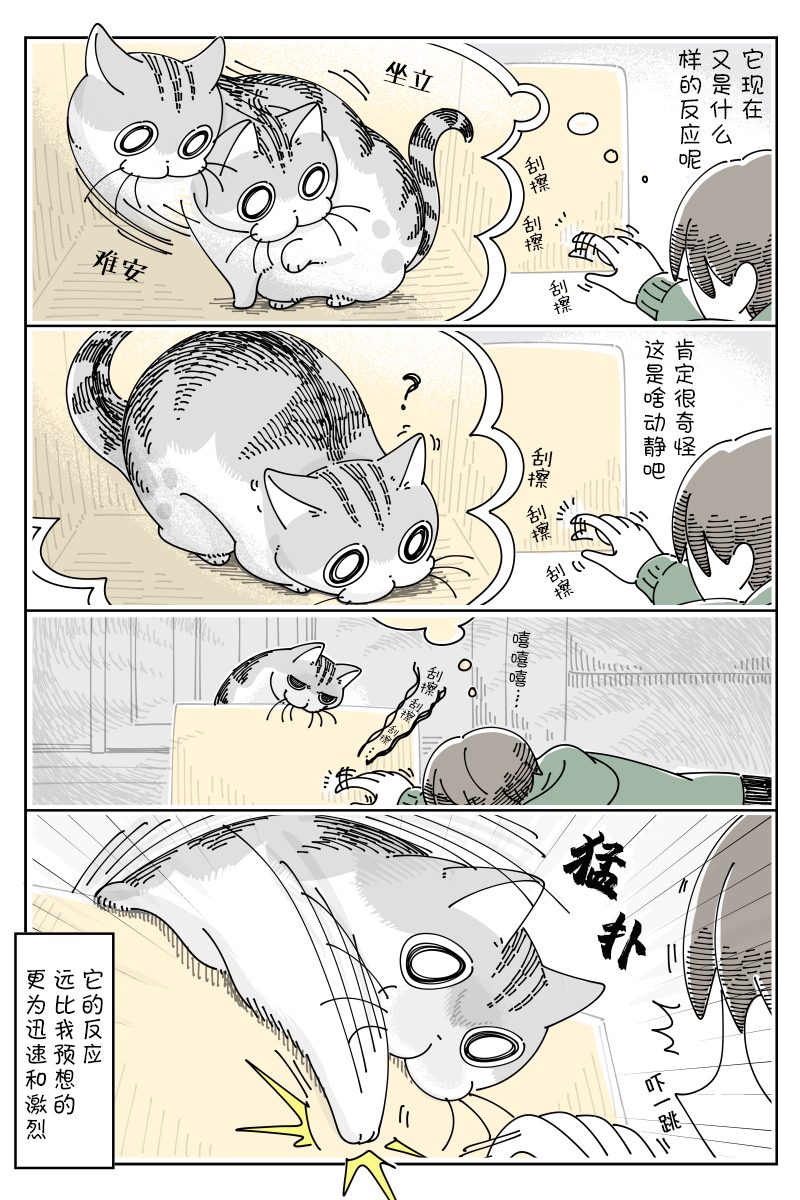 《关于养猫我一直是新手》漫画最新章节第100话免费下拉式在线观看章节第【2】张图片