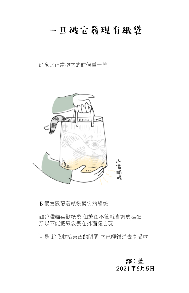 《关于养猫我一直是新手》漫画最新章节第67话免费下拉式在线观看章节第【4】张图片