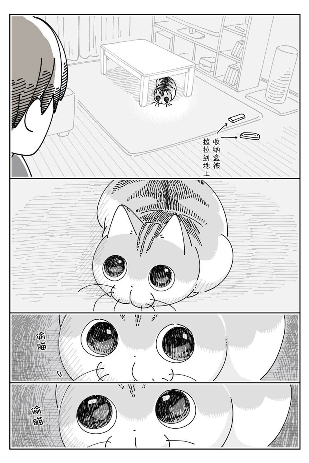 《关于养猫我一直是新手》漫画最新章节第143话免费下拉式在线观看章节第【2】张图片
