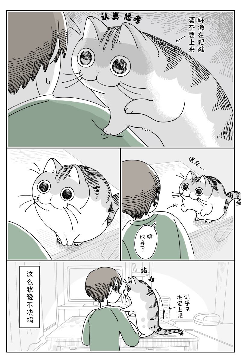 《关于养猫我一直是新手》漫画最新章节第153话免费下拉式在线观看章节第【3】张图片