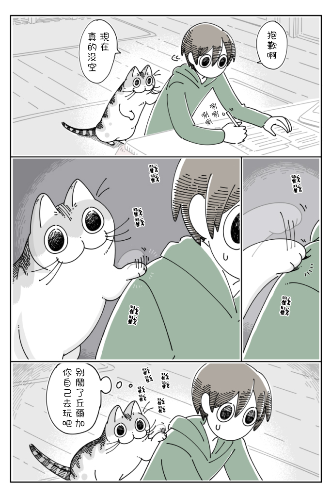 《关于养猫我一直是新手》漫画最新章节第54话免费下拉式在线观看章节第【2】张图片