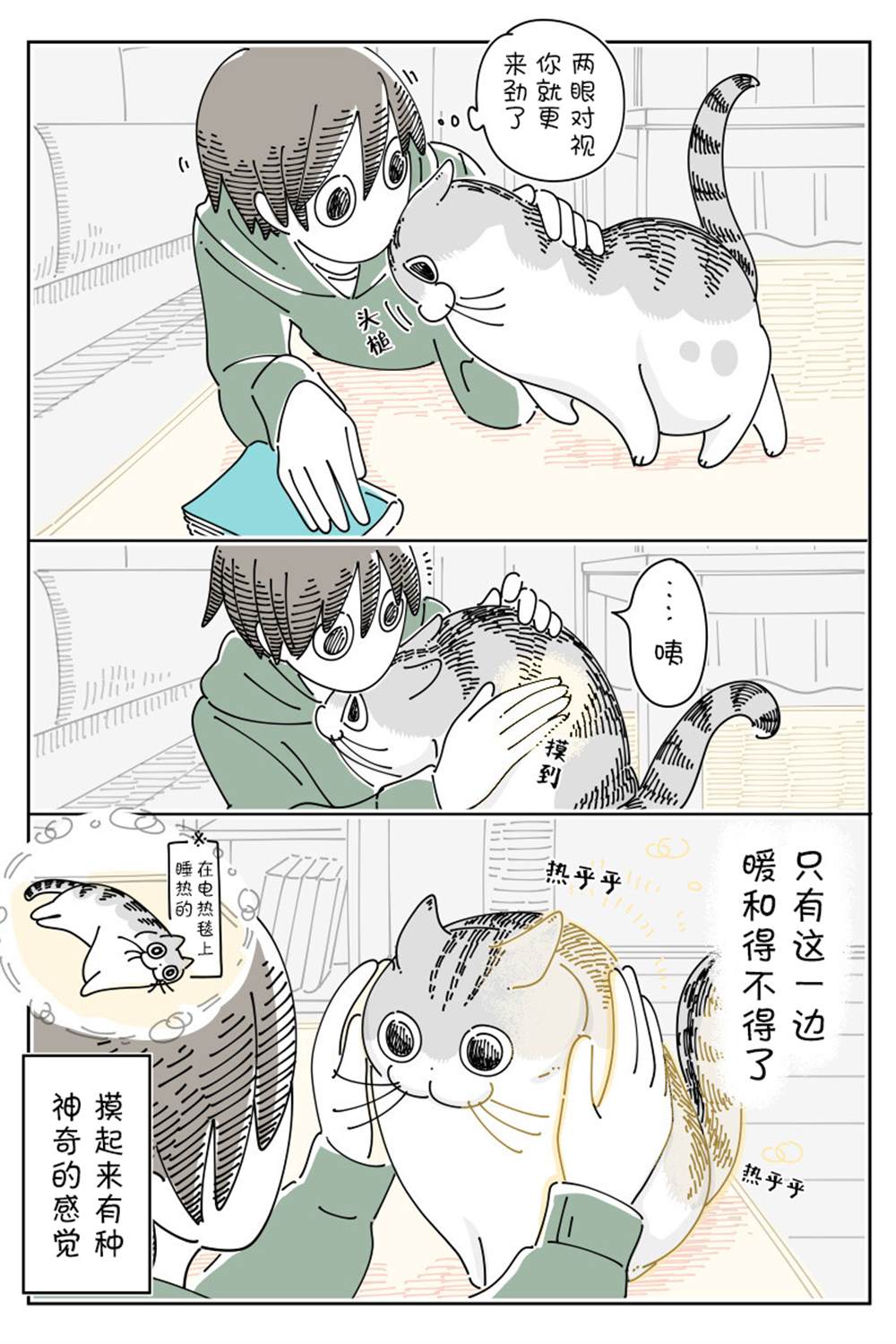 《关于养猫我一直是新手》漫画最新章节第144话免费下拉式在线观看章节第【3】张图片