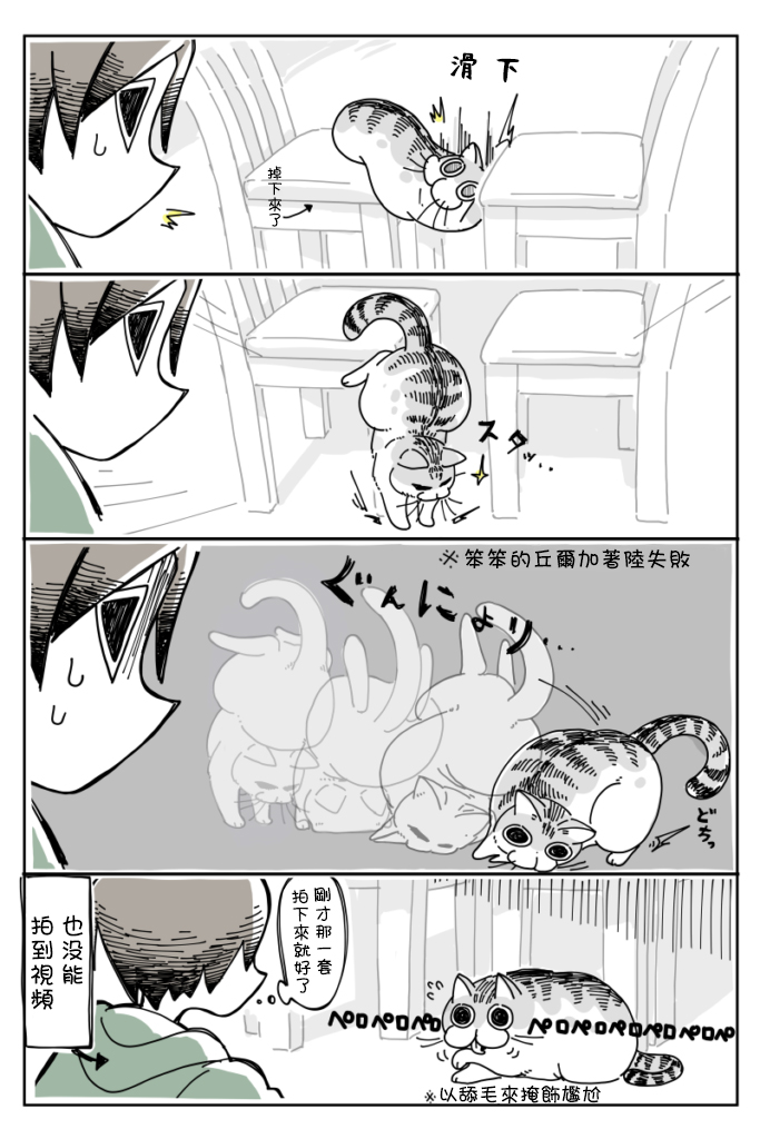 《关于养猫我一直是新手》漫画最新章节第7话免费下拉式在线观看章节第【4】张图片