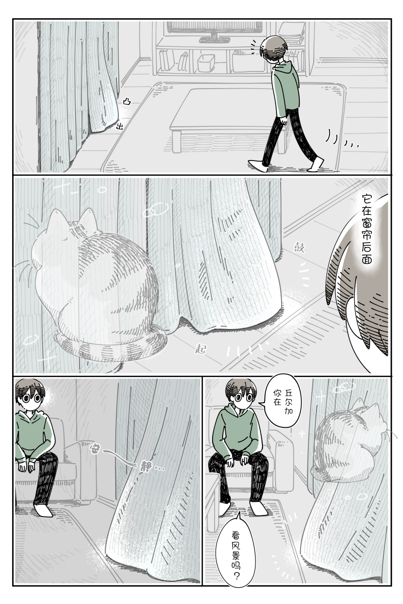 《关于养猫我一直是新手》漫画最新章节第93话免费下拉式在线观看章节第【1】张图片