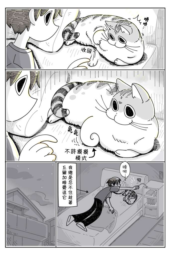 《关于养猫我一直是新手》漫画最新章节第27话免费下拉式在线观看章节第【2】张图片