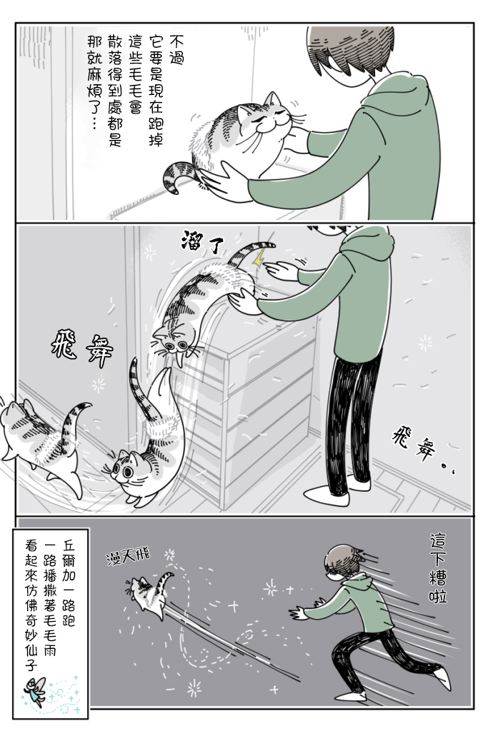 《关于养猫我一直是新手》漫画最新章节第65话免费下拉式在线观看章节第【4】张图片