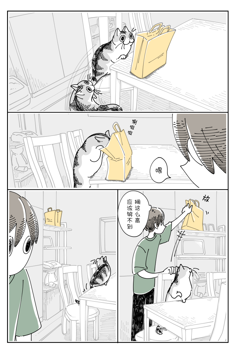 《关于养猫我一直是新手》漫画最新章节第122话免费下拉式在线观看章节第【2】张图片