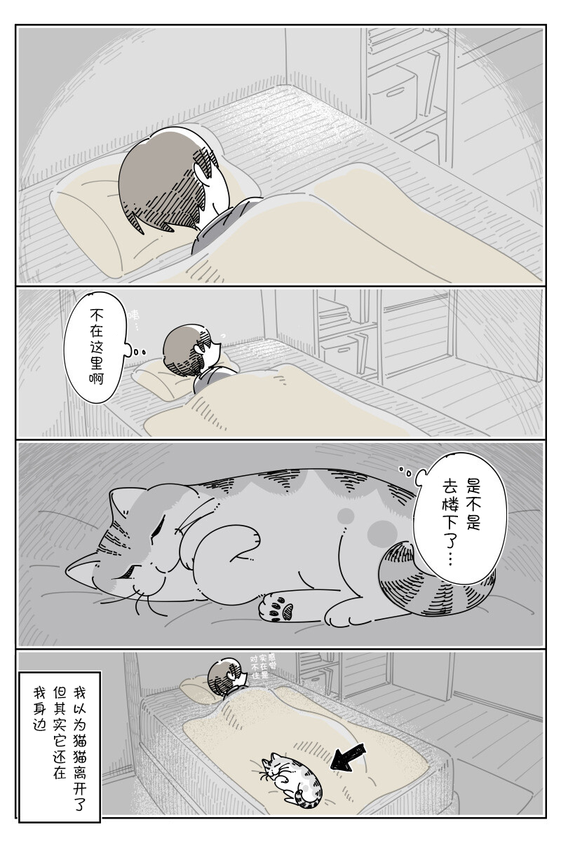 《关于养猫我一直是新手》漫画最新章节第149话免费下拉式在线观看章节第【4】张图片