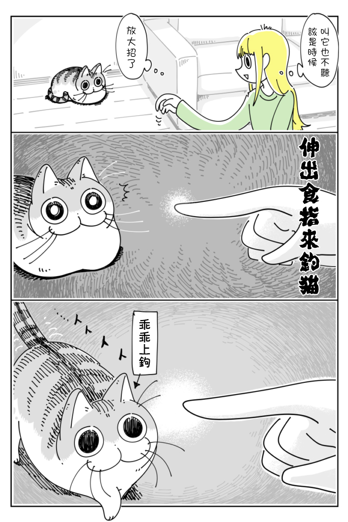 《关于养猫我一直是新手》漫画最新章节第39话免费下拉式在线观看章节第【2】张图片