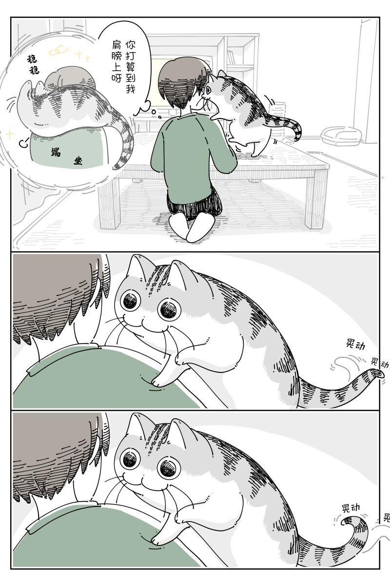 《关于养猫我一直是新手》漫画最新章节第153话免费下拉式在线观看章节第【2】张图片