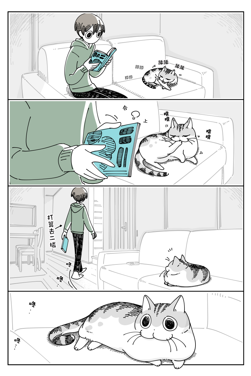 《关于养猫我一直是新手》漫画最新章节第114话免费下拉式在线观看章节第【1】张图片
