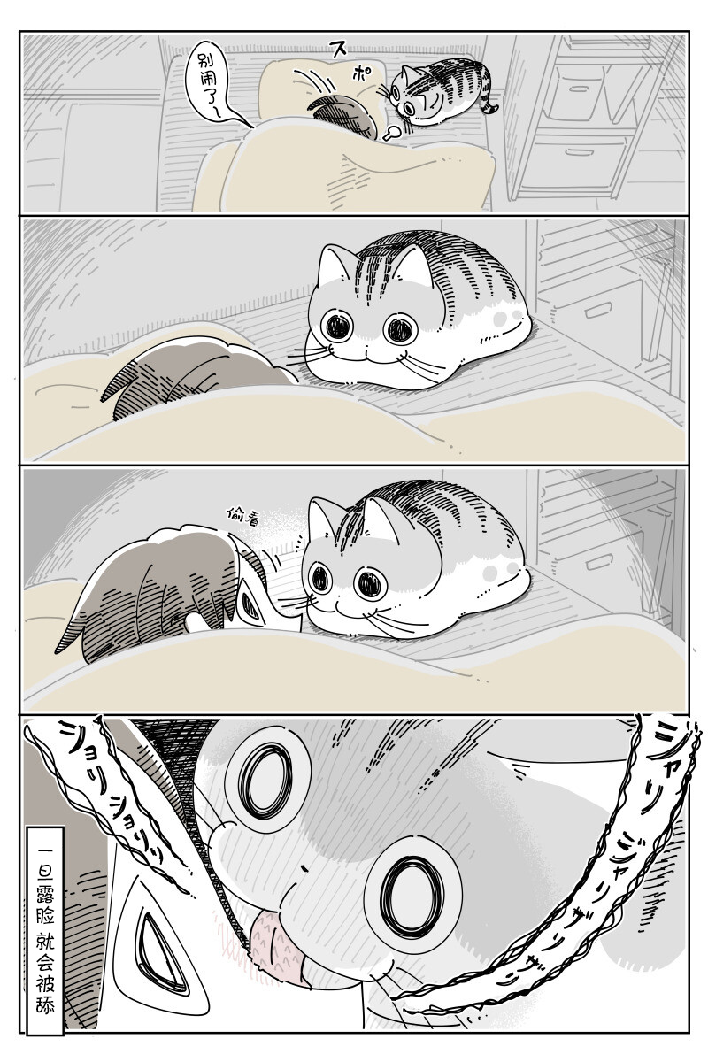 《关于养猫我一直是新手》漫画最新章节第149话免费下拉式在线观看章节第【2】张图片