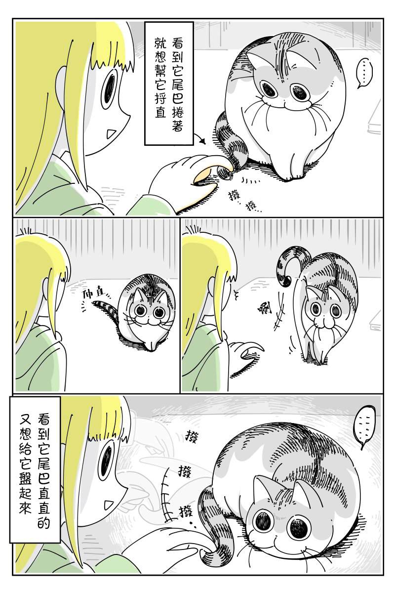 《关于养猫我一直是新手》漫画最新章节第47话免费下拉式在线观看章节第【3】张图片