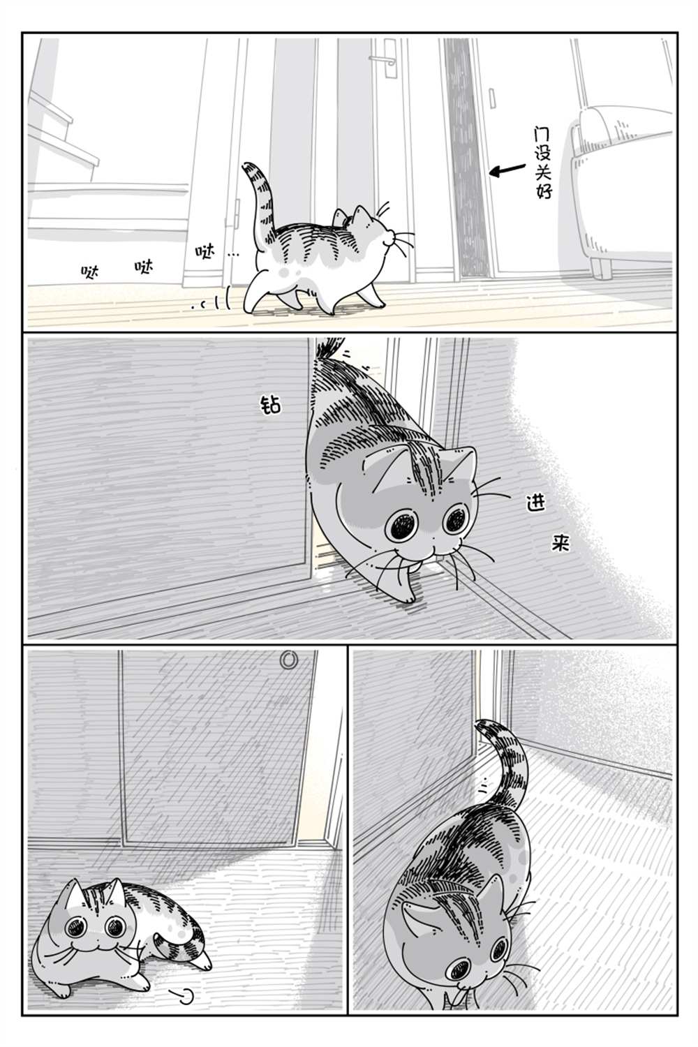 《关于养猫我一直是新手》漫画最新章节第139话免费下拉式在线观看章节第【1】张图片