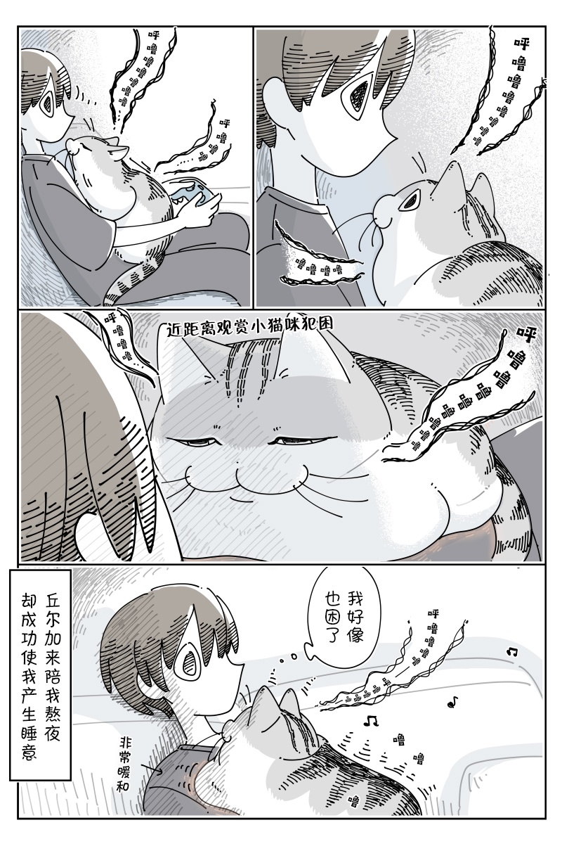 《关于养猫我一直是新手》漫画最新章节第134话免费下拉式在线观看章节第【3】张图片