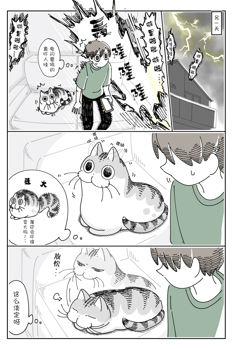 《关于养猫我一直是新手》漫画最新章节第78话免费下拉式在线观看章节第【2】张图片