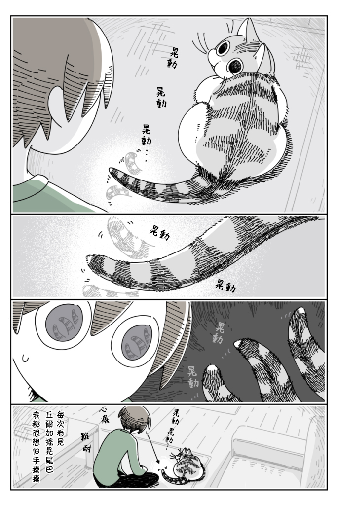 《关于养猫我一直是新手》漫画最新章节第31话免费下拉式在线观看章节第【1】张图片