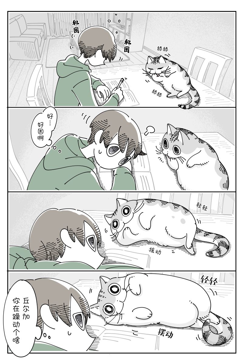 《关于养猫我一直是新手》漫画最新章节第103话免费下拉式在线观看章节第【1】张图片