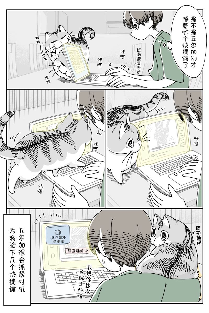 《关于养猫我一直是新手》漫画最新章节第128话免费下拉式在线观看章节第【2】张图片