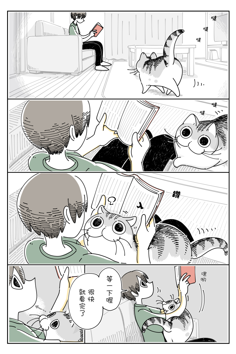 《关于养猫我一直是新手》漫画最新章节第75话免费下拉式在线观看章节第【1】张图片