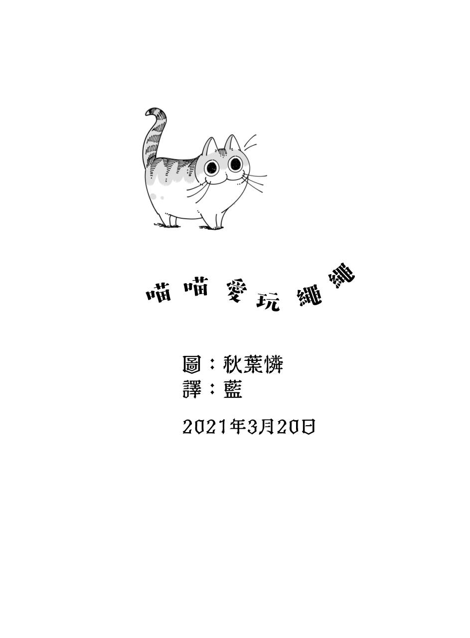 《关于养猫我一直是新手》漫画最新章节第52话免费下拉式在线观看章节第【3】张图片