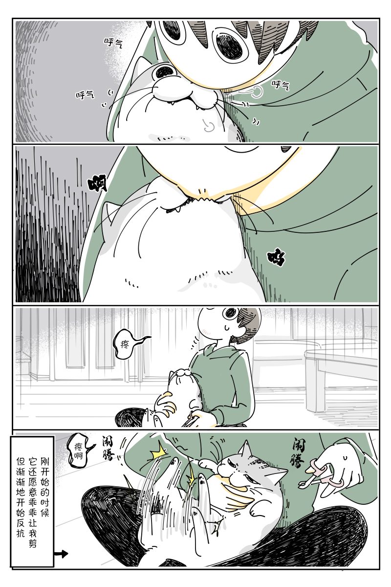 《关于养猫我一直是新手》漫画最新章节第112话免费下拉式在线观看章节第【2】张图片