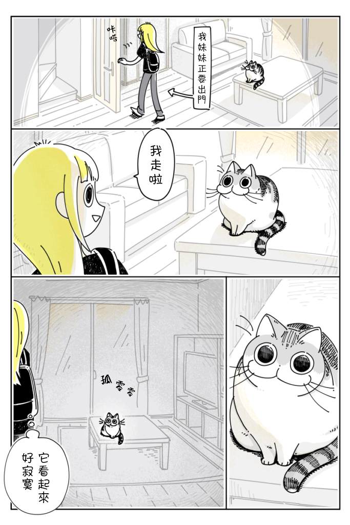 《关于养猫我一直是新手》漫画最新章节第30话免费下拉式在线观看章节第【1】张图片