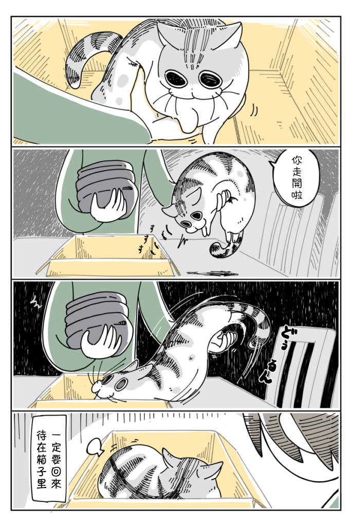 《关于养猫我一直是新手》漫画最新章节第17话免费下拉式在线观看章节第【3】张图片
