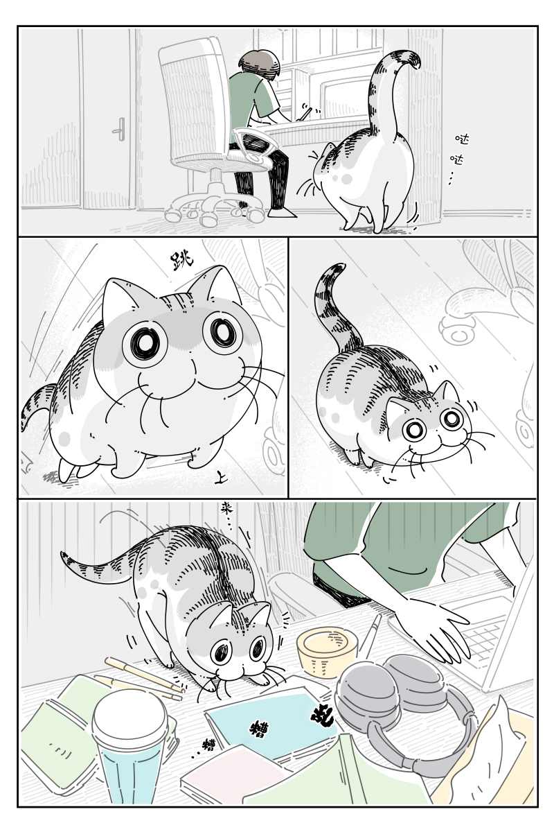 《关于养猫我一直是新手》漫画最新章节第82话免费下拉式在线观看章节第【1】张图片