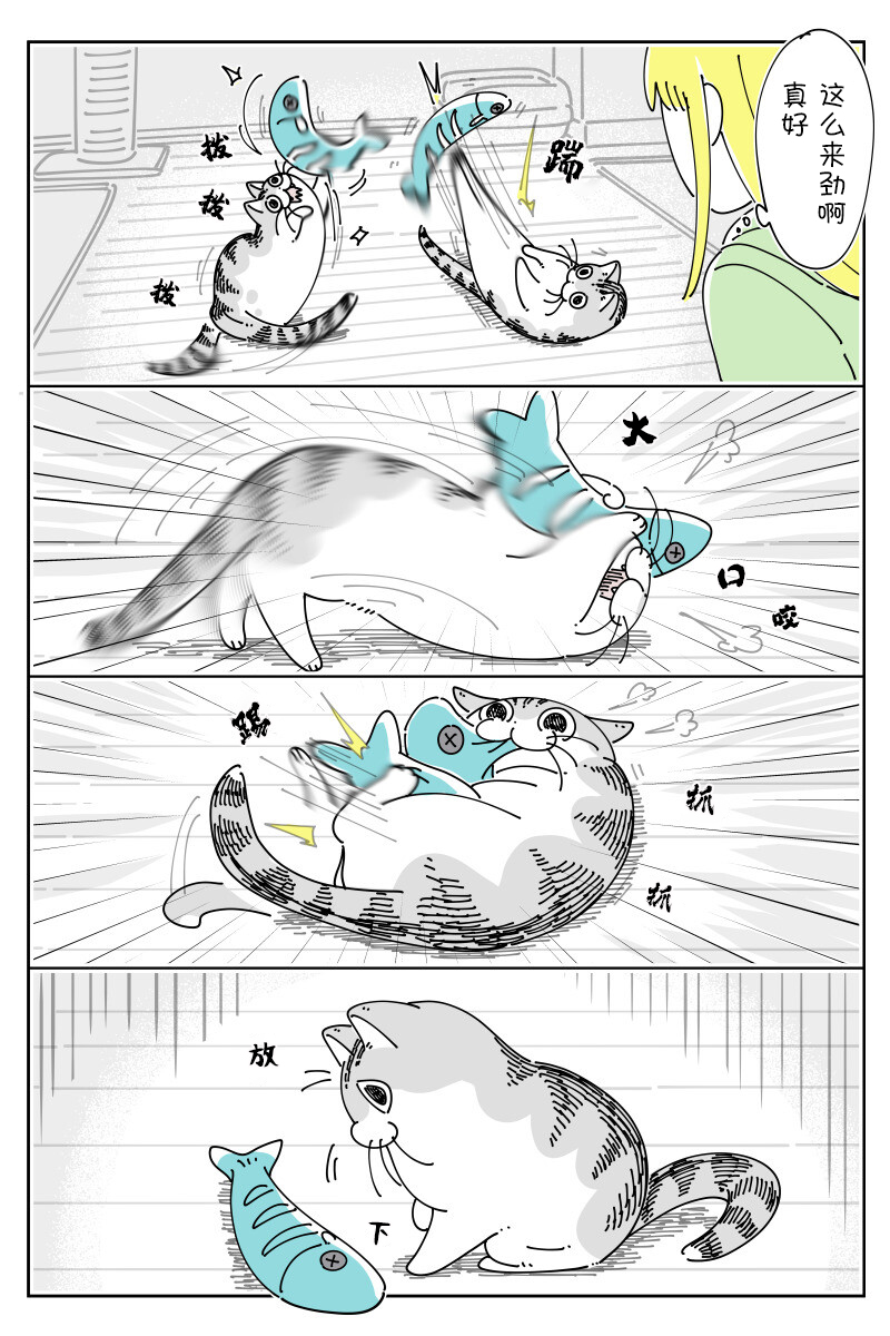 《关于养猫我一直是新手》漫画最新章节第146话免费下拉式在线观看章节第【2】张图片
