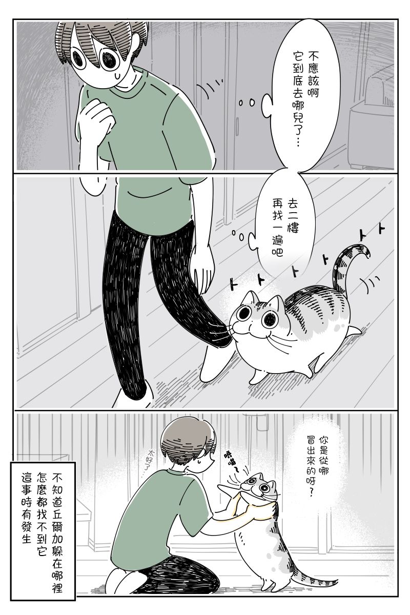 《关于养猫我一直是新手》漫画最新章节第73话免费下拉式在线观看章节第【3】张图片