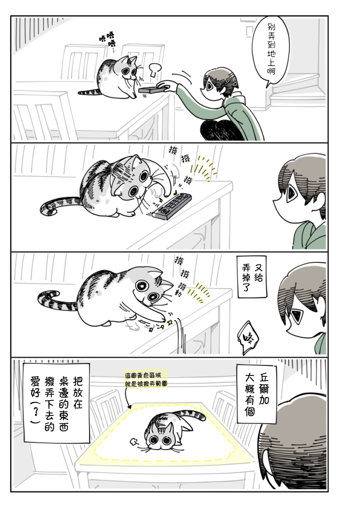 《关于养猫我一直是新手》漫画最新章节第12话免费下拉式在线观看章节第【2】张图片