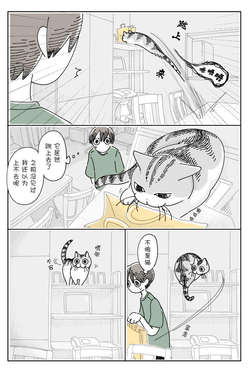《关于养猫我一直是新手》漫画最新章节第122话免费下拉式在线观看章节第【3】张图片