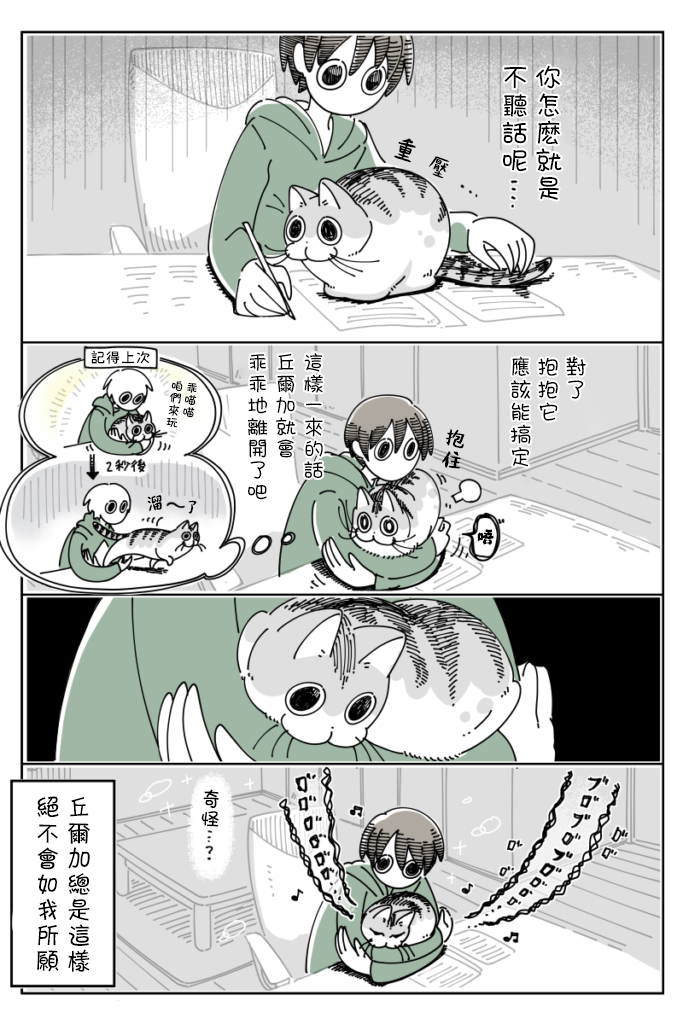 《关于养猫我一直是新手》漫画最新章节第41话免费下拉式在线观看章节第【3】张图片