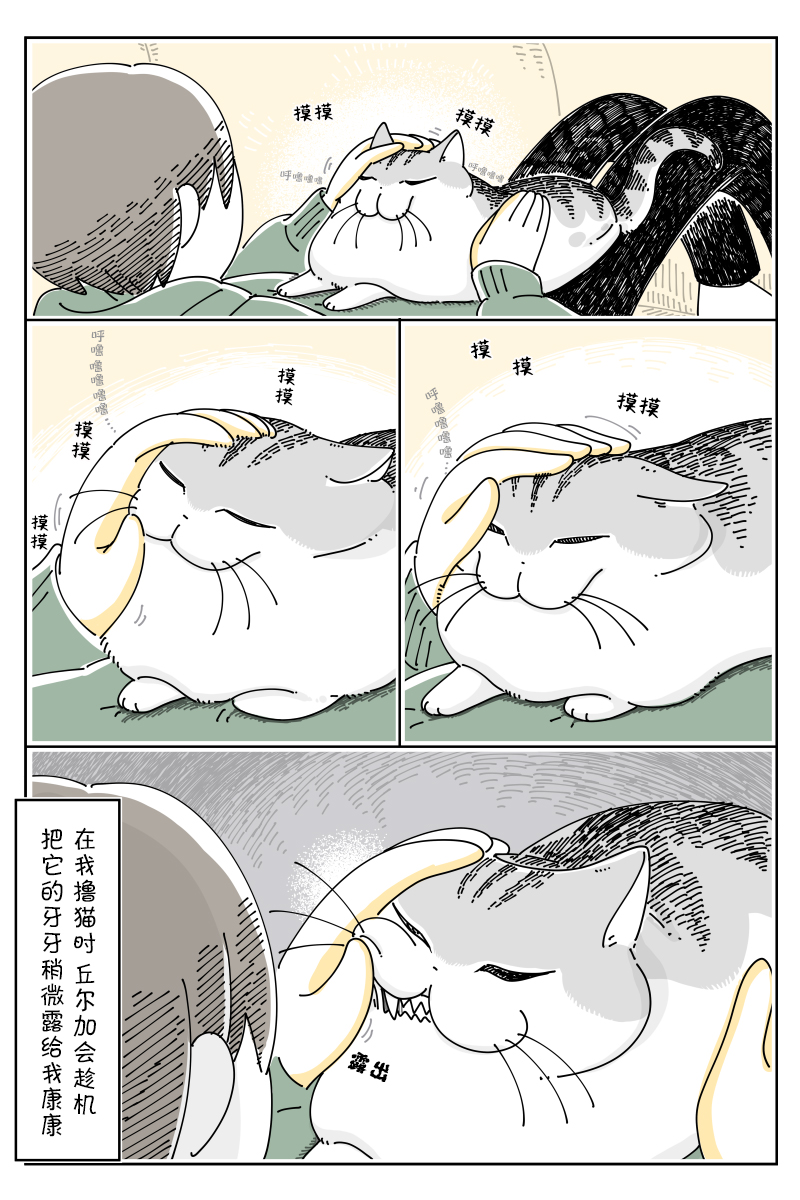 《关于养猫我一直是新手》漫画最新章节第113话免费下拉式在线观看章节第【2】张图片