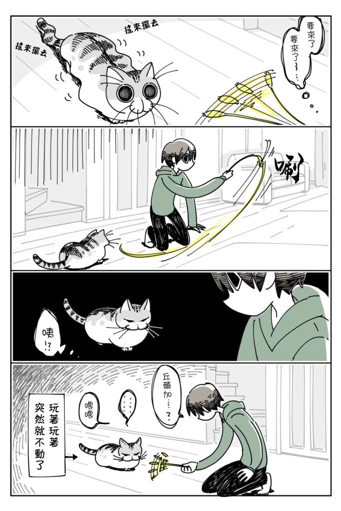 《关于养猫我一直是新手》漫画最新章节第13话免费下拉式在线观看章节第【3】张图片