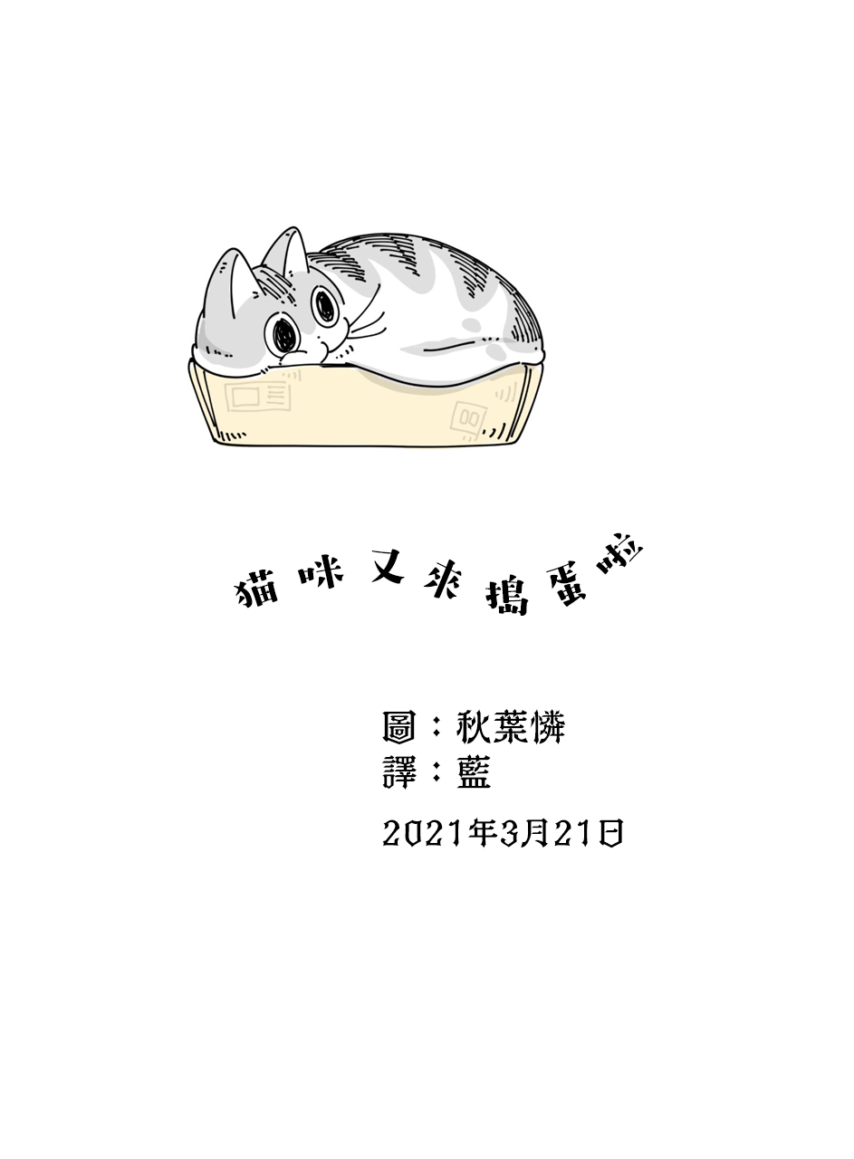《关于养猫我一直是新手》漫画最新章节第53话免费下拉式在线观看章节第【3】张图片