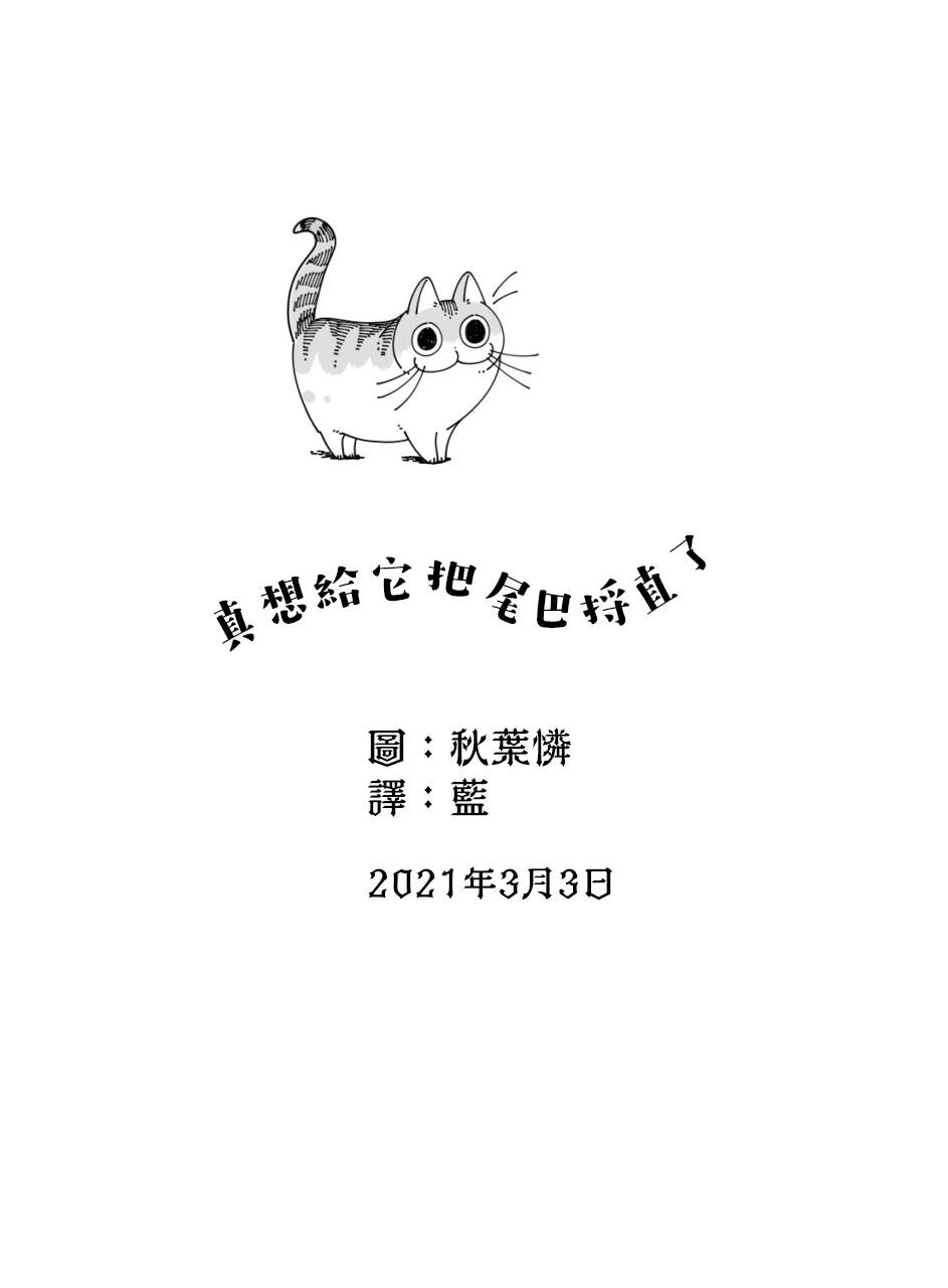 《关于养猫我一直是新手》漫画最新章节第47话免费下拉式在线观看章节第【4】张图片