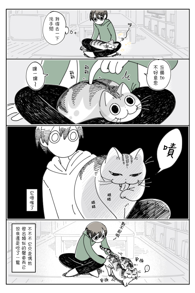 《关于养猫我一直是新手》漫画最新章节第60话免费下拉式在线观看章节第【1】张图片