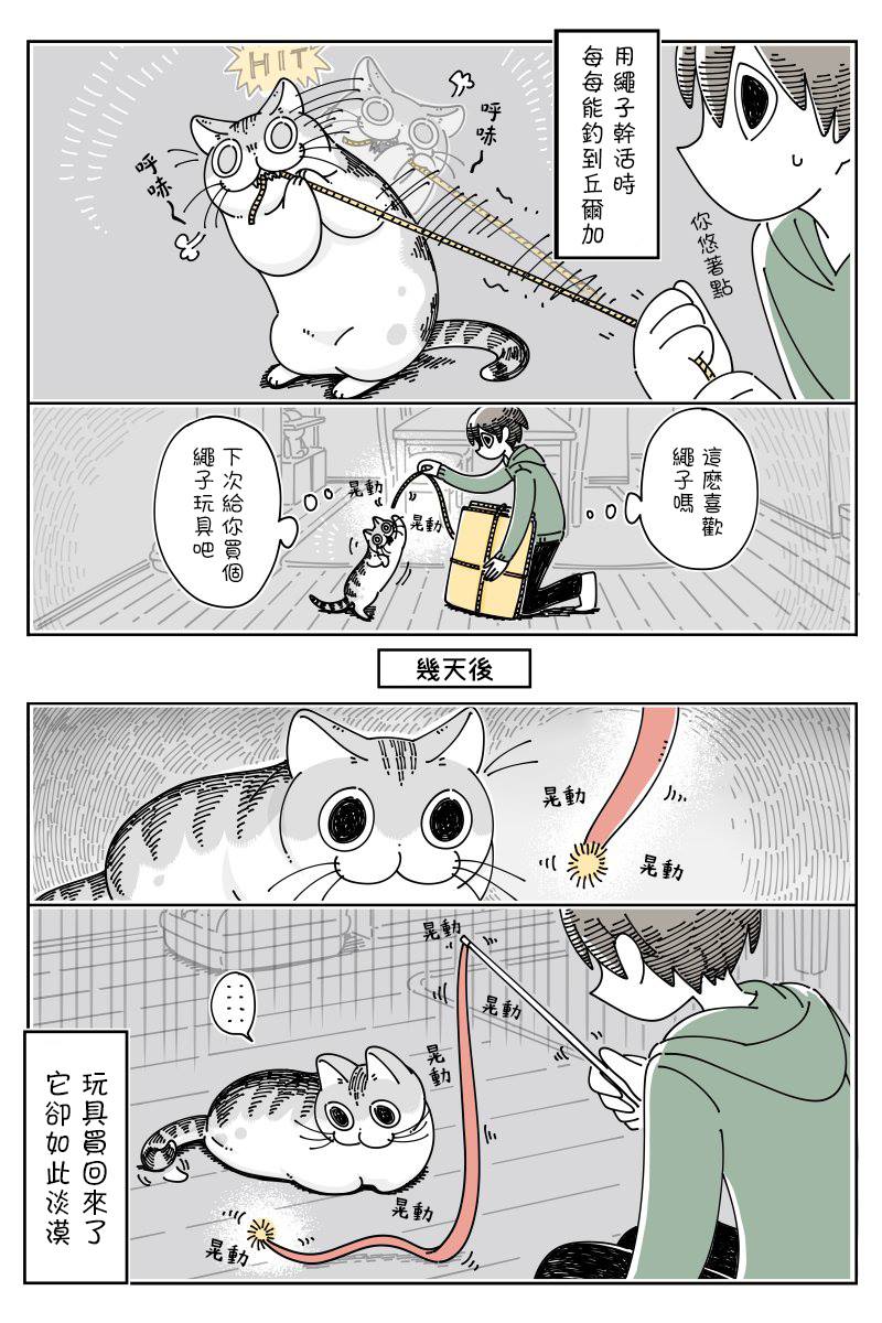 《关于养猫我一直是新手》漫画最新章节第52话免费下拉式在线观看章节第【2】张图片