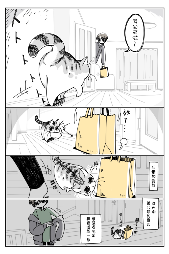 《关于养猫我一直是新手》漫画最新章节第15话免费下拉式在线观看章节第【1】张图片