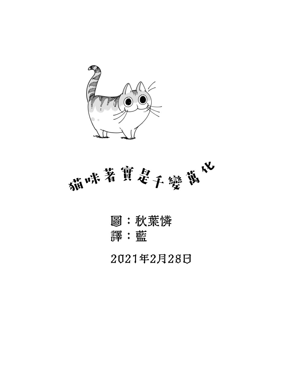 《关于养猫我一直是新手》漫画最新章节第46话免费下拉式在线观看章节第【4】张图片