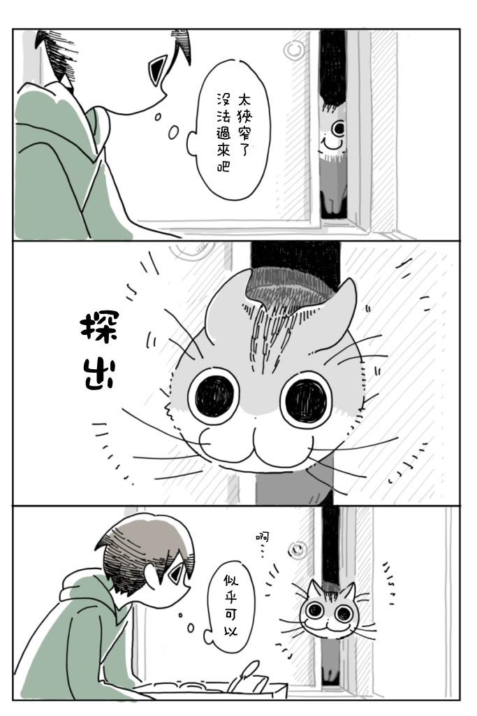 《关于养猫我一直是新手》漫画最新章节第5话免费下拉式在线观看章节第【15】张图片