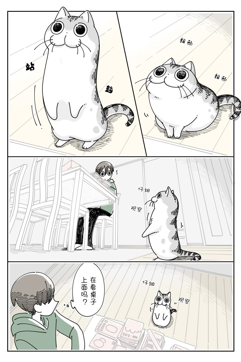 《关于养猫我一直是新手》漫画最新章节第107话免费下拉式在线观看章节第【1】张图片