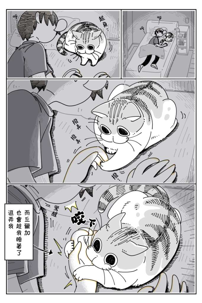 《关于养猫我一直是新手》漫画最新章节第27话免费下拉式在线观看章节第【3】张图片