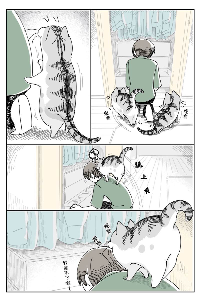 《关于养猫我一直是新手》漫画最新章节第120话免费下拉式在线观看章节第【2】张图片